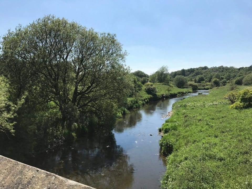 Popular Witton Country Park - witton country park