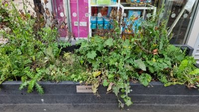 Blackburn Town Centre Shoppers' Car Park covered in
