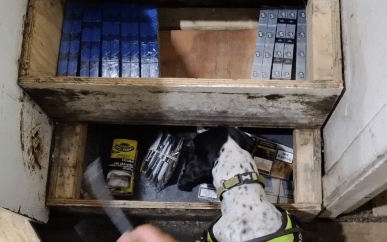 A detection dog uncovers hidden illegal cigarettes and tobacco inside a wooden step compartment during a Trading Standards operation in Blackburn.