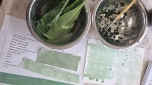 Natural Dyeing Workshop at Blackburn Market on 28 November 2025