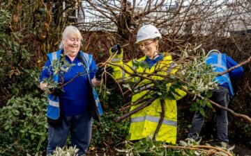 Auto Draft - Canal Volunteer