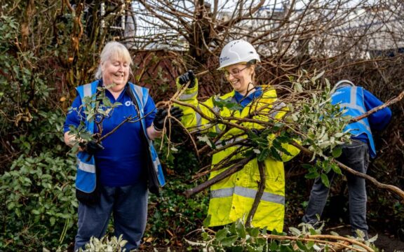 Auto Draft - Canal Volunteer