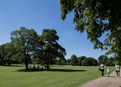 Witton Country Park - Witton Park Custom 1